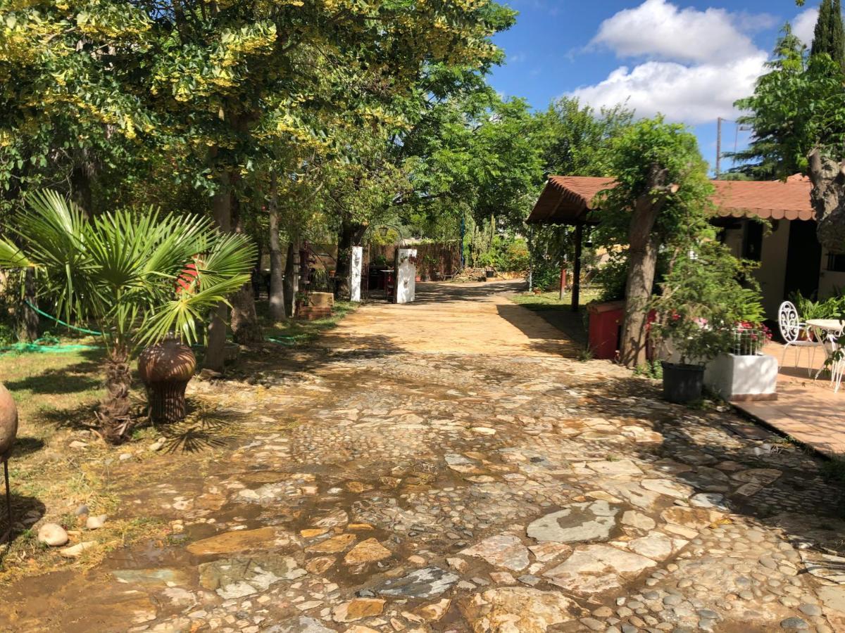 Vivienda Turistica La Huerta Villa Guadalcanal Dış mekan fotoğraf