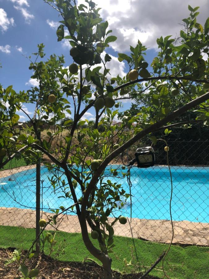 Vivienda Turistica La Huerta Villa Guadalcanal Dış mekan fotoğraf