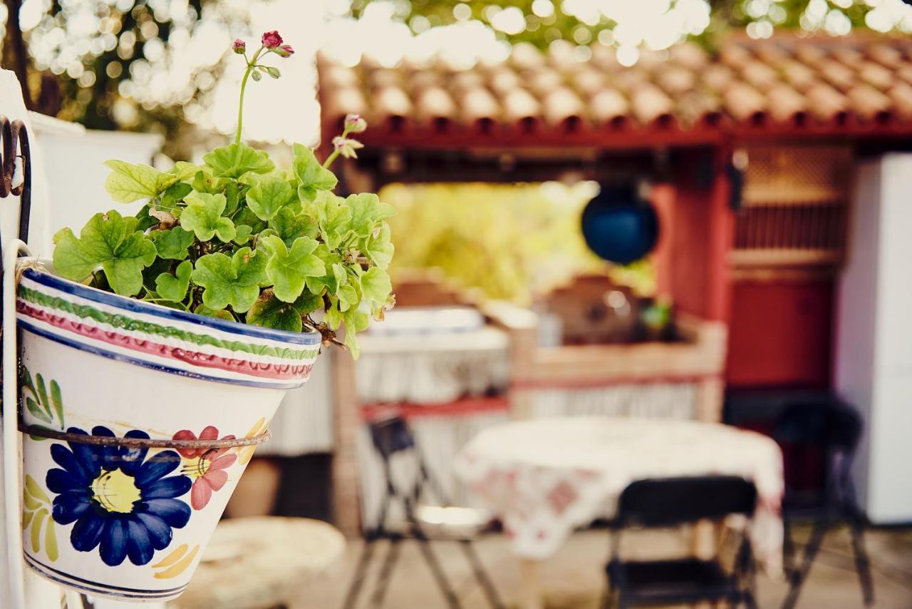 Vivienda Turistica La Huerta Villa Guadalcanal Dış mekan fotoğraf
